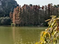 -星湖旅游景区七星岩