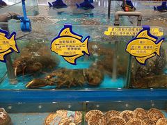 -海铺·渔家虾水饺(皇姑店)