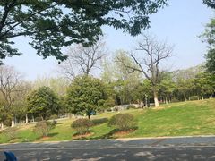 -南京市江宁方山