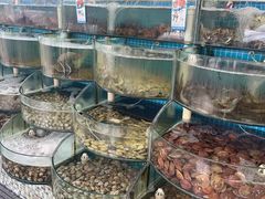 -仙螺岛海鲜自助餐厅(总店)