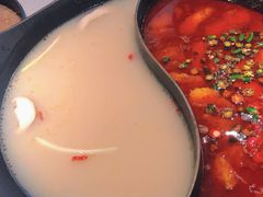 鲜椒巴沙鱼火锅-新辣道鱼火锅(西直门店)