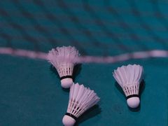 -先锋羽毛球馆