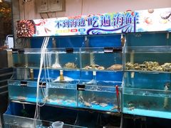 水产区-东极岛海鲜