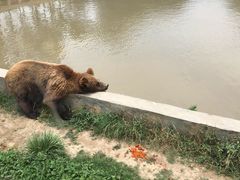 -上海野生动物园