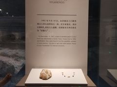 -齐文化博物馆