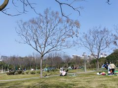 -尚贤河湿地