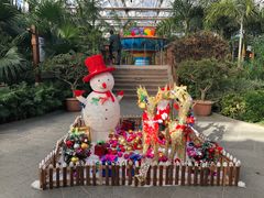 -南宫五洲植物乐园