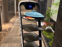 -阿五黄河大鲤鱼(纬三路店)