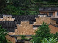 -杨家堂村
