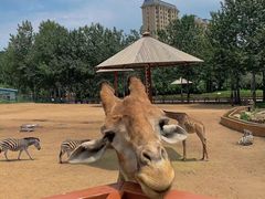 -大连森林动物园