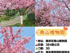 -重庆园博园