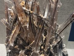 -贵州省地质博物馆
