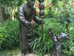 -合肥滨湖国家森林公园