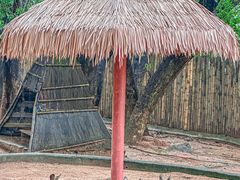 -深圳野生动物园