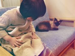 -有猫儿腻咖啡厅.猫咖