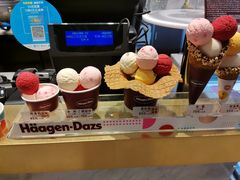 -哈根达斯(西安北郊店)