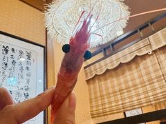 -红叶日料·放题·海胆·定食(星海店)