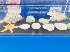 -上海海洋大学鱼文化博物馆(军工路校区)