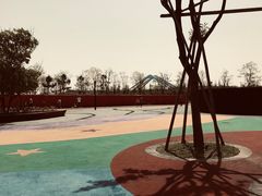 -春花秋色城市公园