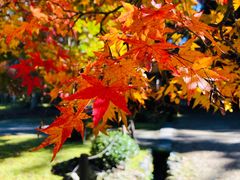-醍醐寺