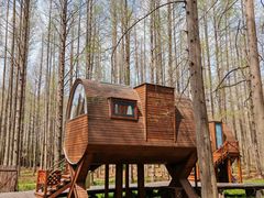 -黄海国家森林公园