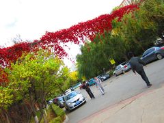 -辽宁大学(崇山校区)