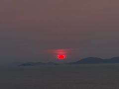 -阿军排档·烧烤