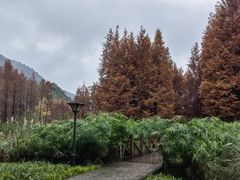 -贵阳市花溪国家城市湿地公园
