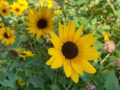 -怡海公园(桂城街道)