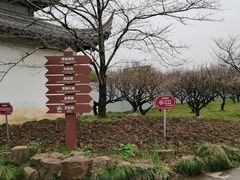 -苏州上方山国家森林公园
