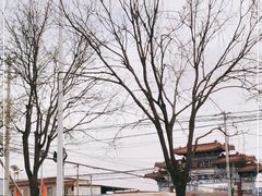 -河北村民俗体验园