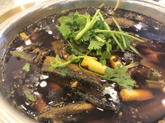 -高坎一品甲鱼庄(两河店)
