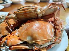 -阿杰臻选海鲜饭店(普陀山店)