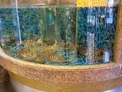 android_upload_pic-顺峰海鲜酒楼(省府店)