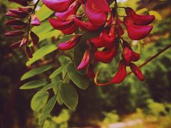 -永定河休闲森林公园