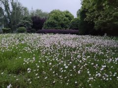 -南京信息职业技术学院
