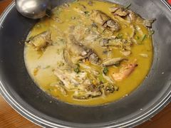 -饭怕鱼·黄焖鲟龙鱼(湖大店)