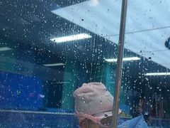 -Swim斯卫姆国际儿童游泳中心(红博中央公园店)