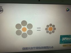 点击看大图 -京世沙龙