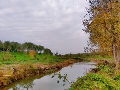 -洨河生态公园