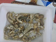 -渔民船说·北塘海鲜·天津菜·海肠捞饭(北塘古镇店)