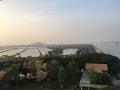 -大湾区中央湿地公园