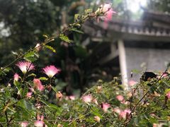 -深圳国际园林花卉博览园