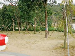 -中山市树木园