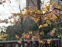 -静安雕塑公园
