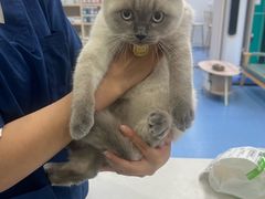 -博特宠物医院24h犬猫全科.骨科·异宠