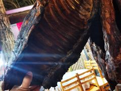 -中国大熊猫保护研究中心雅安碧峰峡基地