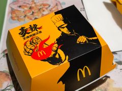 -麦当劳(庐山南路店)