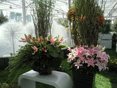 -上海鲜花港