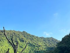 -梧桐山风景名胜区